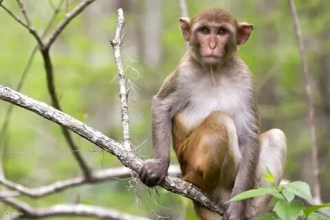 Explore the enchanting waterways teeming with wildlife and natural splendor...