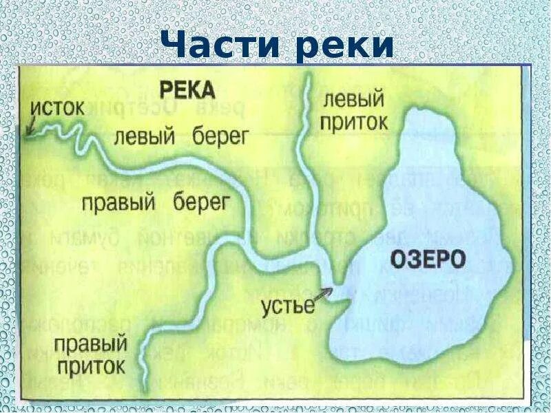 Из каких частей состоит река 2 класс. Исток Устье правый и левый приток реки. Окружающий мир 2 класс река Устье Исток. Устье Исток русло схема. Части реки окружающий мир схема.