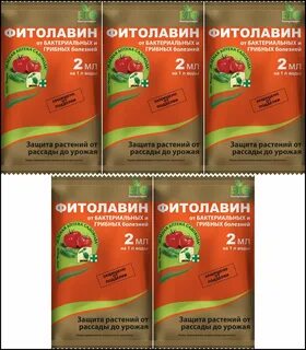Фитолавин