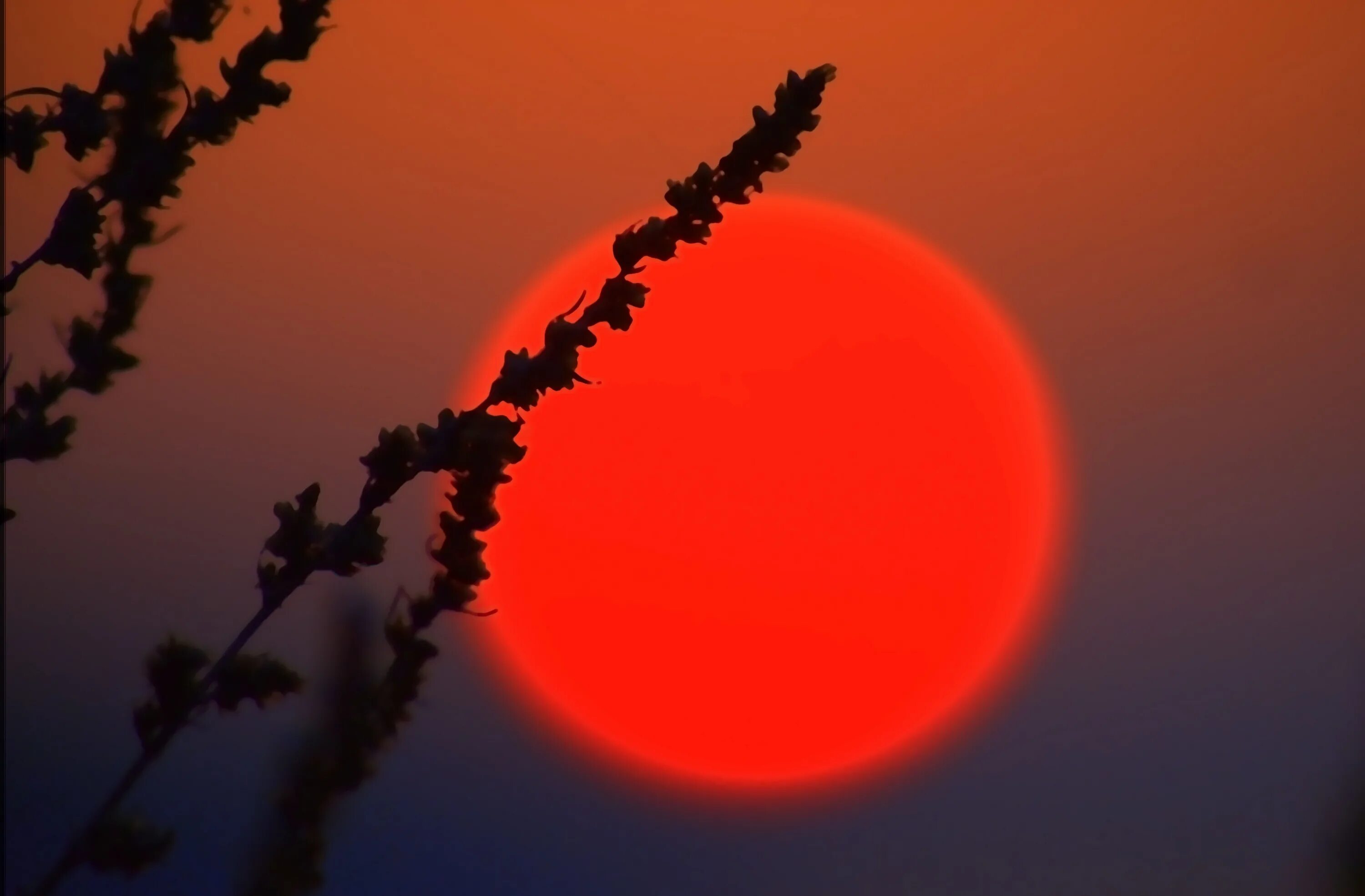 Убитое солнце. Красное солнце. красный закат. красное солнышко. красное солнце на закате.