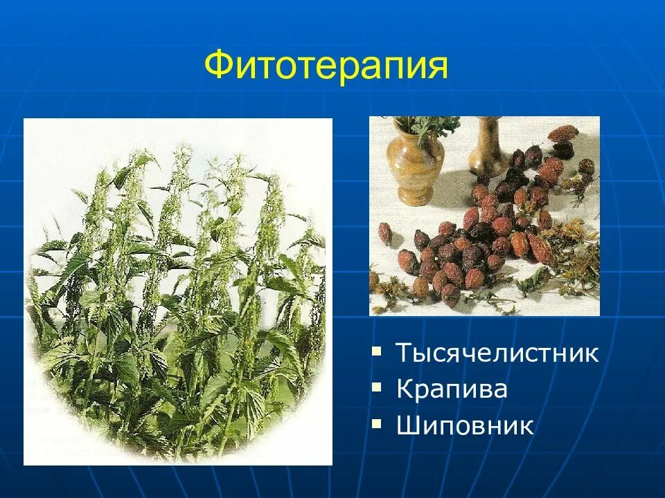 Фитотерапия геморрагического диатеза. Фитотерапия презентация. Фитотерапия для детей. Тысячелистник фитотерапия.