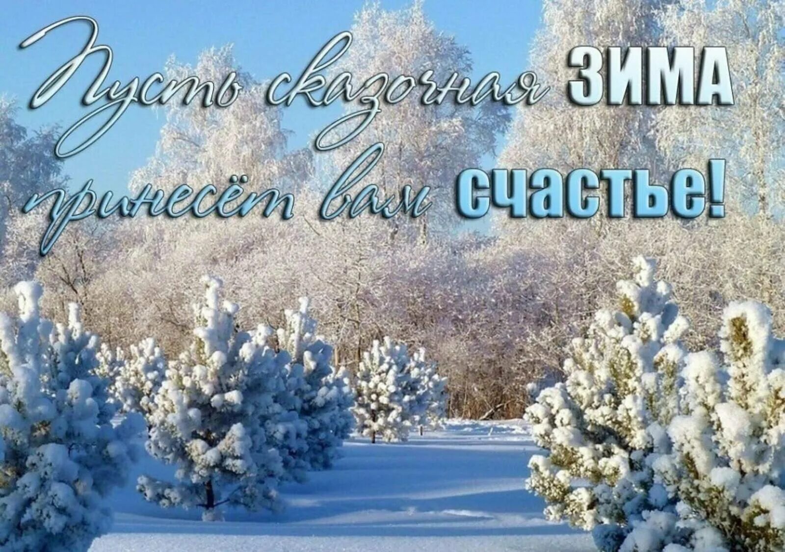 Зимнего дня женщине. Зимние поздравления. Чудесной зимы. Поздравление с зимой. Поздравления с зимним днем.