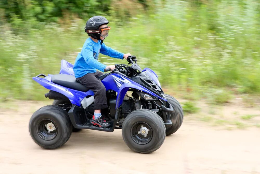 электроквадроцикл kreiss. Avantis atv classic mini. покажи поменьше квадрики. электроквадроцикл барс 1000xl. покажи поменьше квадрики.