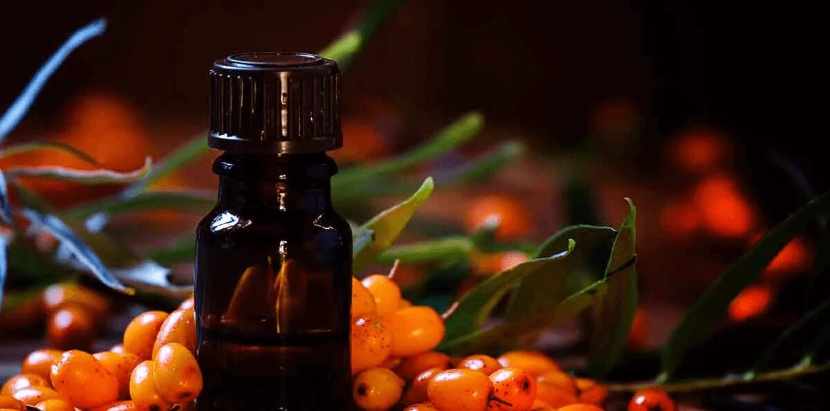 Масло облепихи польза. Sea Buckthorn Oil. Облепиховое масло для кожи. Облепиха в косметологии. Масло облепихи в косметике.