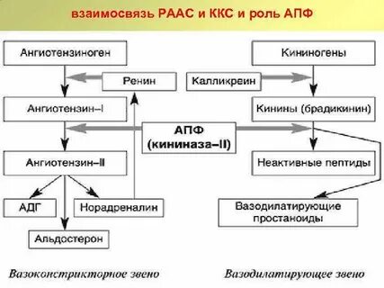 Система kks
