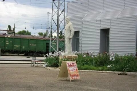 Кавказская кропоткин