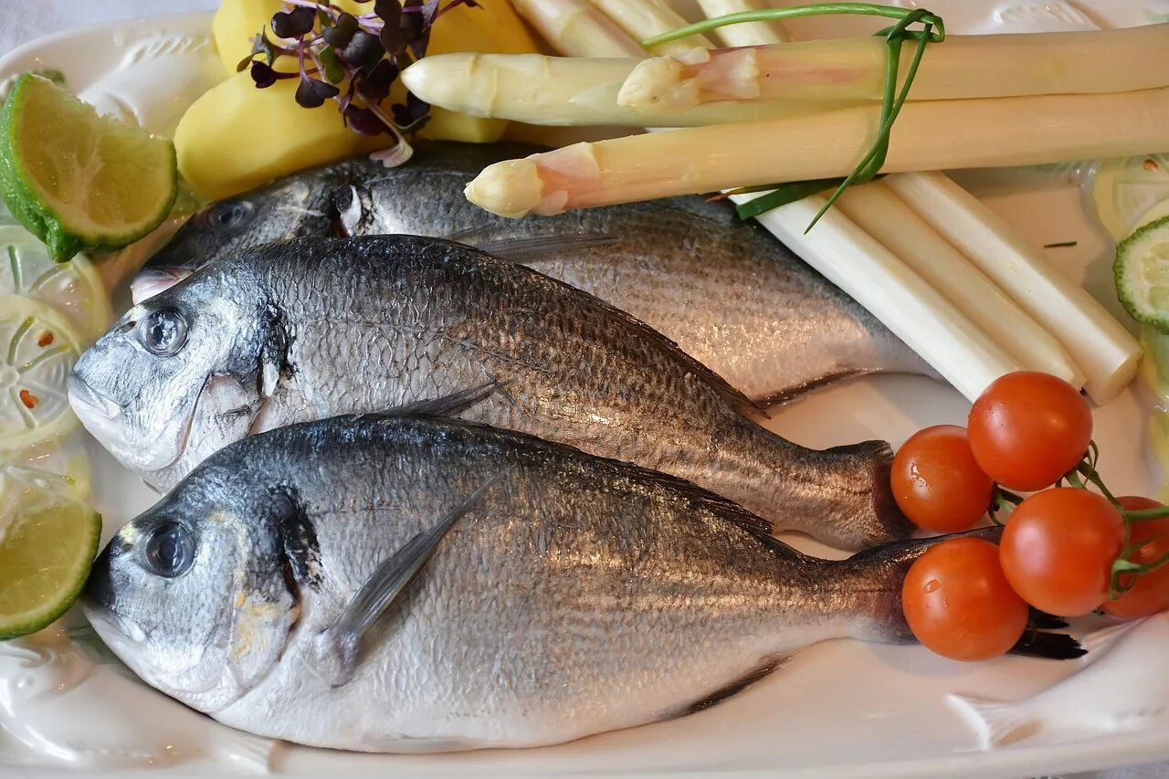 Купить вкусную рыбу. Морская рыба дорадо. Ципура рыба. Рыба дорадо фото. Sea Bream Fish.