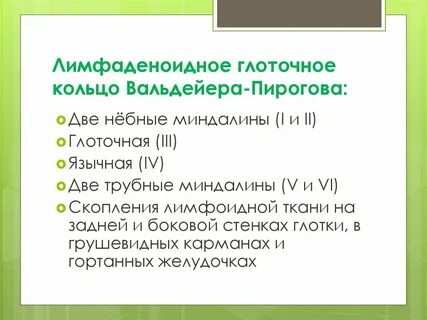 Пирогово кольцо вальдейера