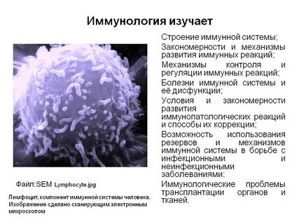 Иммунология это