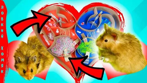 Включи хомячки в лабиринте