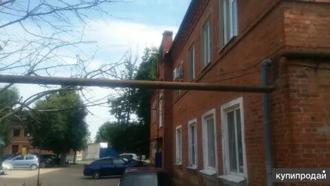 Индекс пашковка