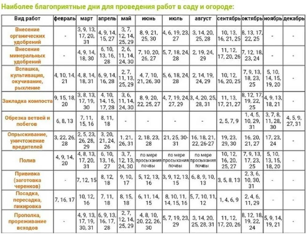 При какой температуре можно садить морковь