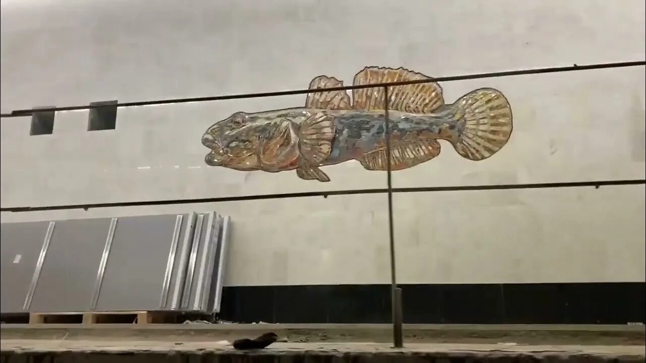 Метро щука. Станция Нагатинский Затон мозаика рыбы. Рыбы на станции Нагатинский Затон. Нагатинский Затон станция метро рыбы. Мозаика на станции Нагатинский Затон.
