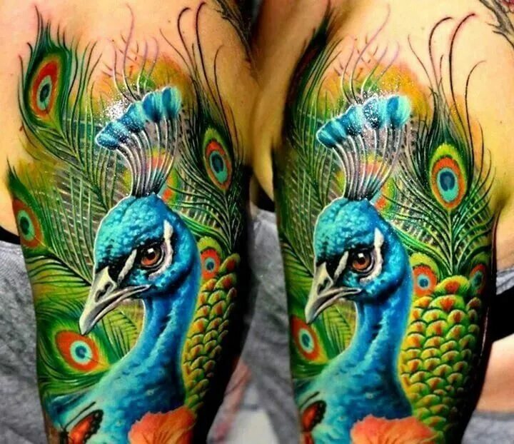 Тату павлин цветной. Павлин значение. Павлин значение. Жар птица павлин. Павлины значение символа.
