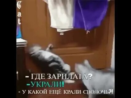 Видео где украли