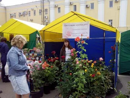 Мир роз 76