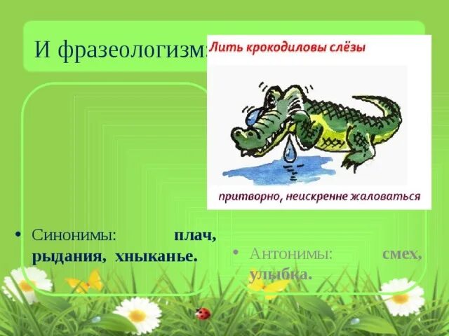 План текста крокодиловы слезы. Фразеологизм Крокодиловы слезы. Фразеологизм лить Крокодиловы слезы. Крокодиловы слёзы значение фразеологизма. Крокодиловы слёзы происхождение фразеологизма.