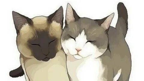 2 котика рисовать