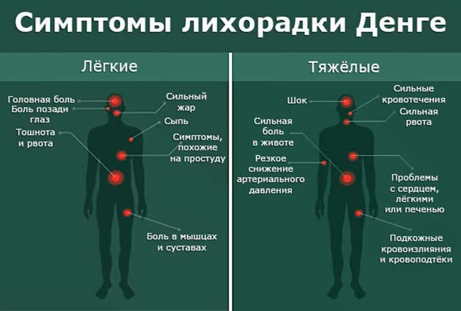 Симптоматика лихорадки Денге.