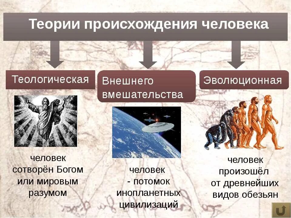 Теории происхождения человека. Основная теория происхождения человека. 2 Гипотезы происхождения человека. 3 Теории происхождения человека.