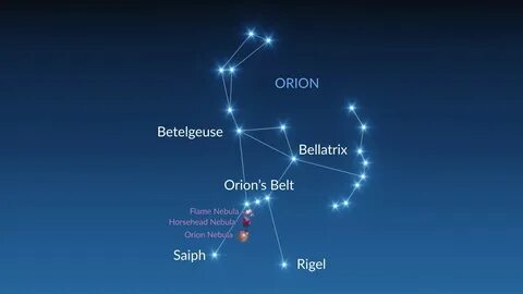 Қынаптағы жауын құрттарының 3D порносы