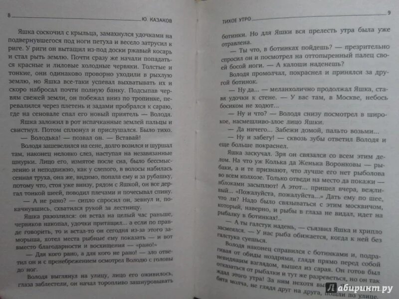 Какие чувства испытывал яшка в рассказе. Рассказ тихое утро. Тихое утро характеристика Яшки. Тихое утро характеристика Яшки и Володи.