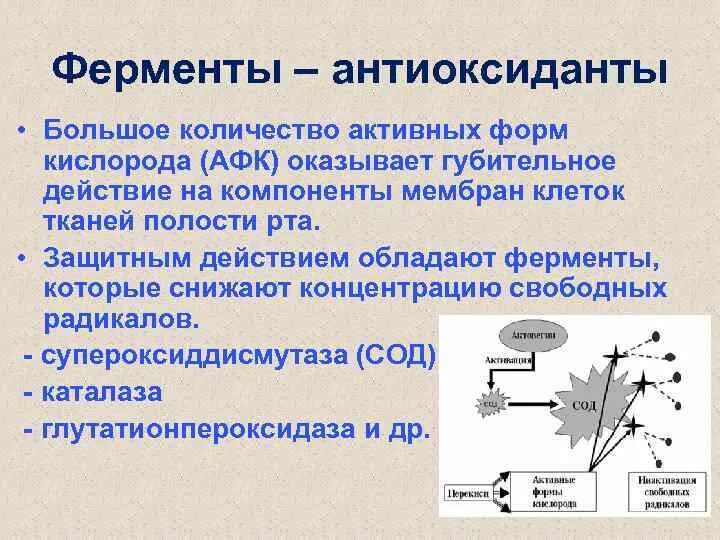 Ферменты антиоксидантной системы. Антиоксидантные ферменты биохимия. Антиоксиданты и антиоксидантные системы ферментов. Антиоксиданты и антиоксидантные ферменты биохимия. Активная группа фермента