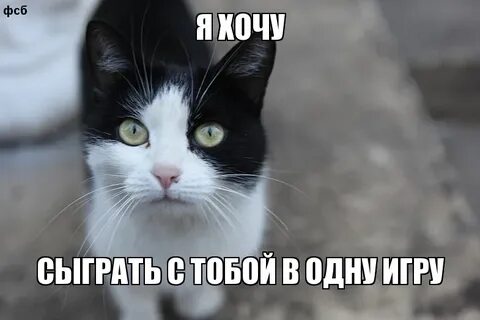 Хочу со мной играть