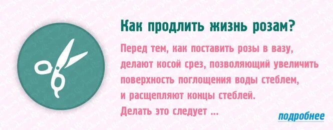 Способ продлить жизнь. Как продлить жизнь. Продлить жизнь розам. Как продлить жизнь срезанным розам. Продлить жизнь розам в вазе.