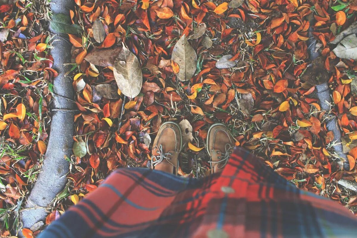 Листья под ногами. Осенние листья под ногами. Обувь в листве. Осень листья под ногами.