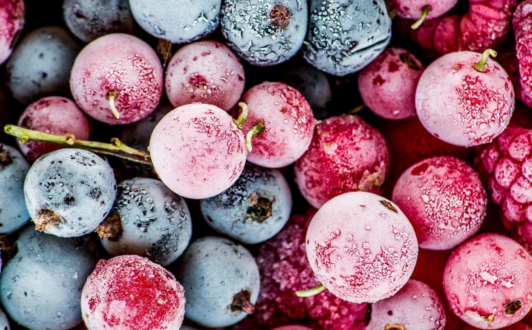 Замороженные фрукты какие. Ягоды. Замороженные ягоды. Розовые ягоды. Розовый фрукт.