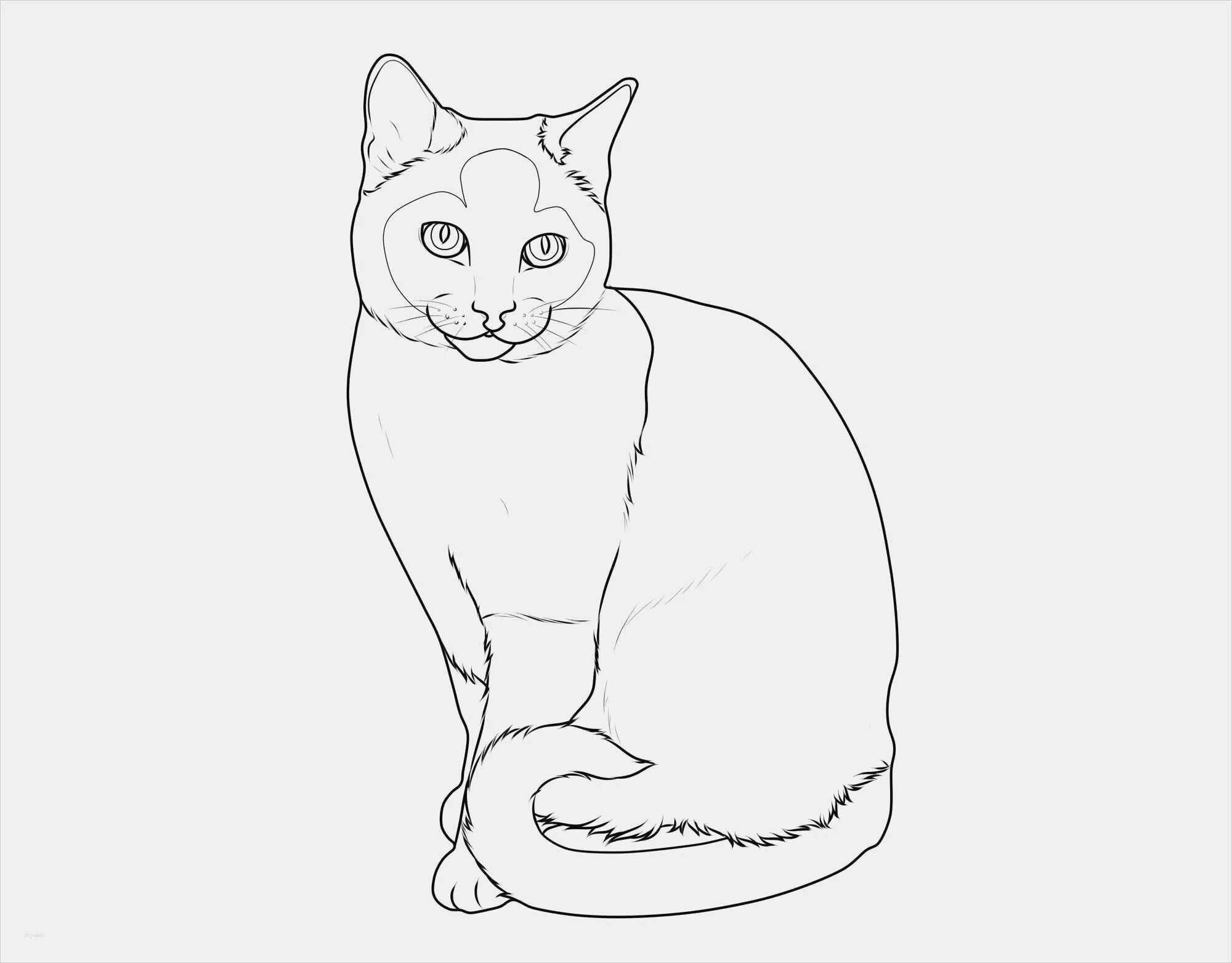 Как нарисовать сидящую кошку