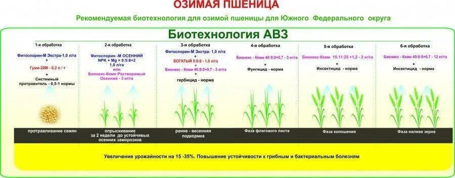 Гербициды по озимым. Фазы обработки озимой пшеницы. Фазы развития озимой пшеницы. Схема подкормки озимой пшеницы мочевиной. Система удобрения Яровой пшеницы.