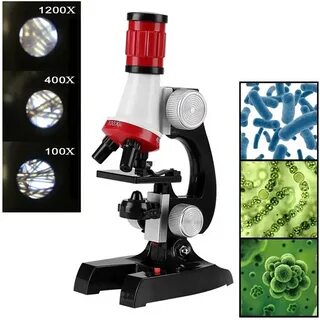 400x microscope