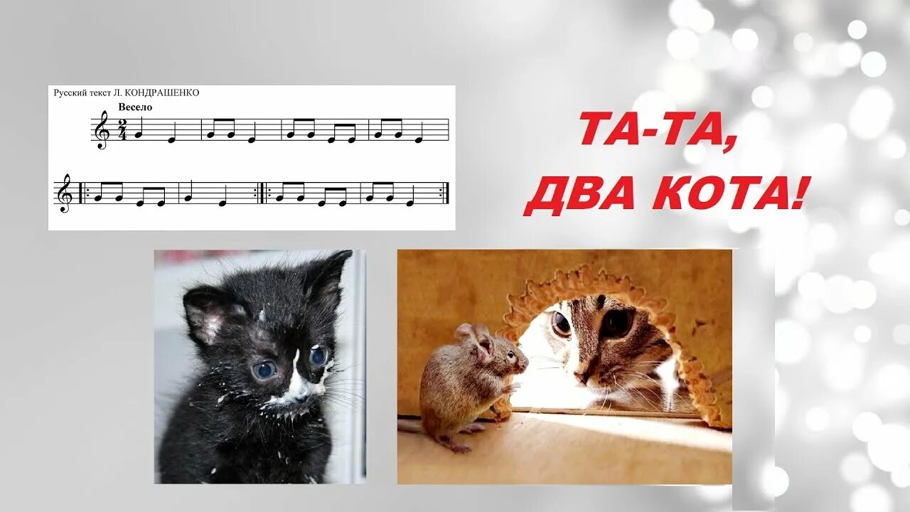 Два кота Ноты. Кот и Ноты. Песенка два кота. Та та два кота два ободранных хвоста. Слушать песенки про кота