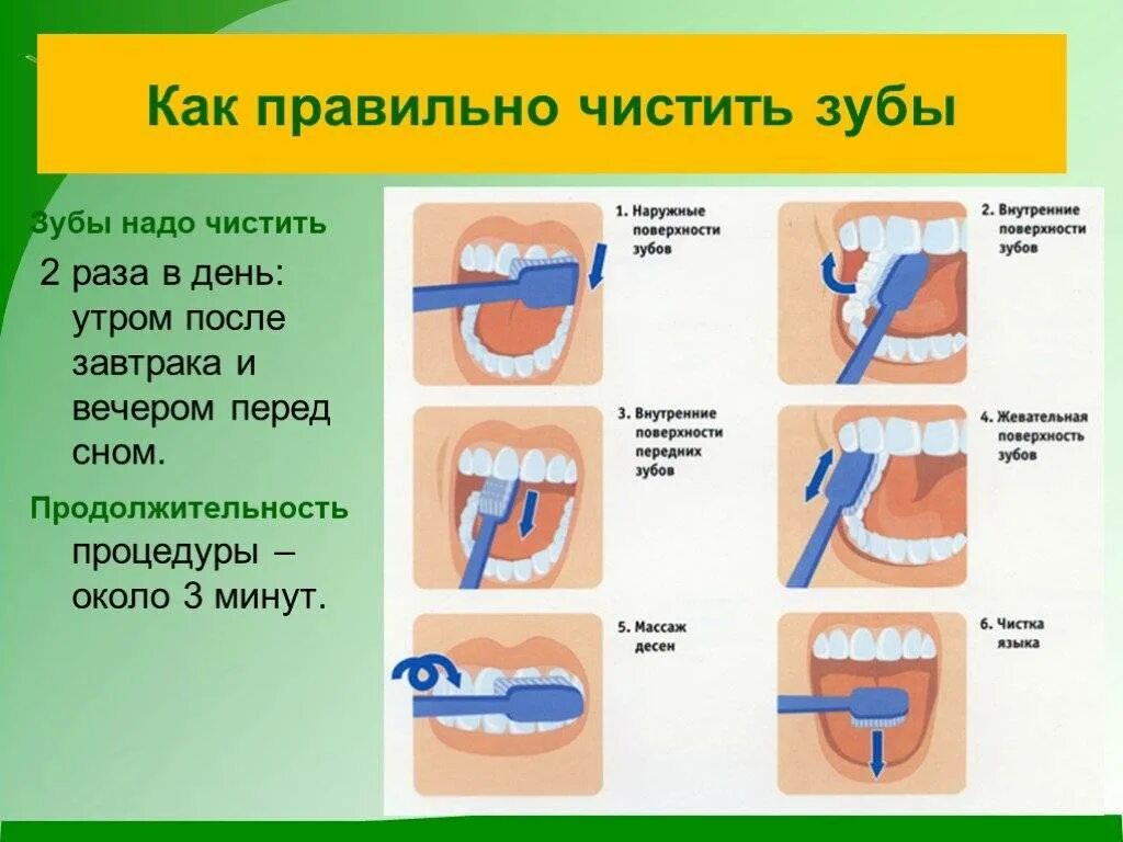 Сколько чистить зубы по времени