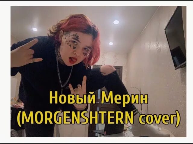 Текст мерина моргенштерн. Моргенштерн новый мерин обложка. Кавер Алена Швец. Моргенштерн новый мерин мне лень. MORGENSHTERN - новый мерин текст.