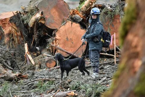 Search and rescue