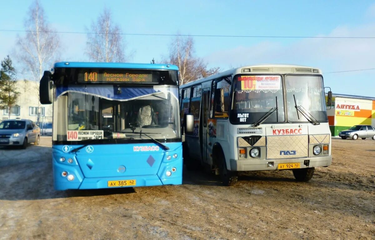 Лиаз 6213. Лиаз 5256 кемерово. 65. 65 автобус кемерово. Гармошки лиаз 6213.
