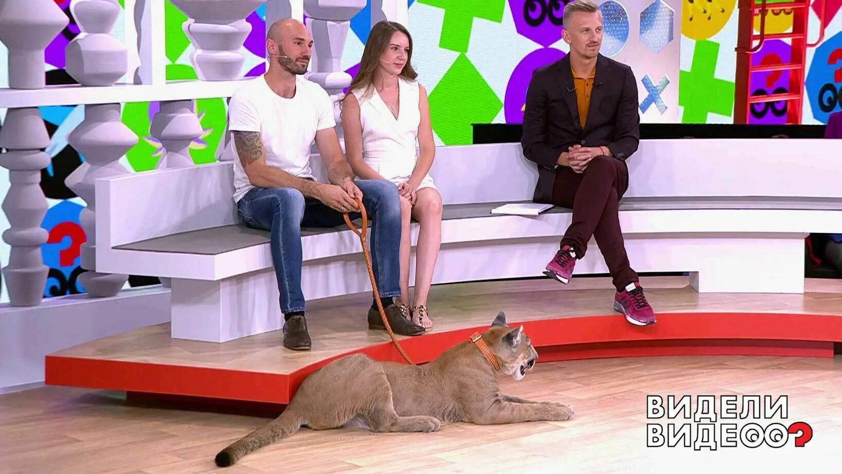 видели видео первый канал 2021. программа про животных на первом канале. шоу про животных на первом канале. программа про животных на первом канале. видимое на телевидении.