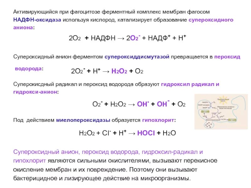 Реакция кислорода с пероксидом