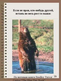 Поговорка не утонет
