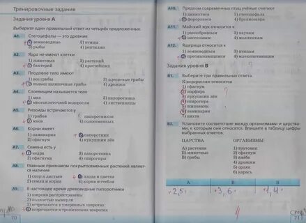 Рэш биология 5
