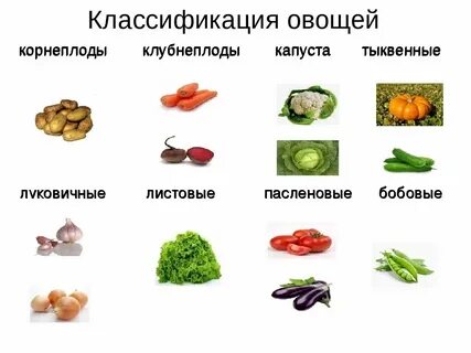 К десертным овощам относят