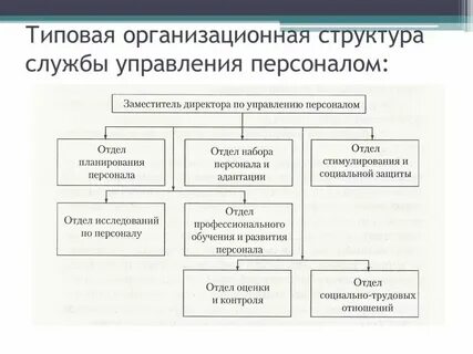 Формирование организационной структуры управления персоналом