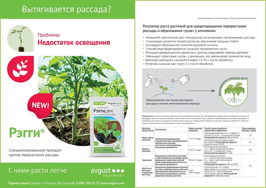 Средство от перерастания рассады. Рэгги 1мл. (Регулятор роста) август. Рэгги, ВРК, регулятор роста растений 1мл. Регулятор роста регги 1 мл. Рэгги 1мл. (Регулятор роста) август х200.