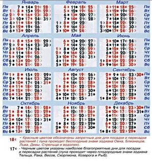 Лунный для пересадки комнатных цветов