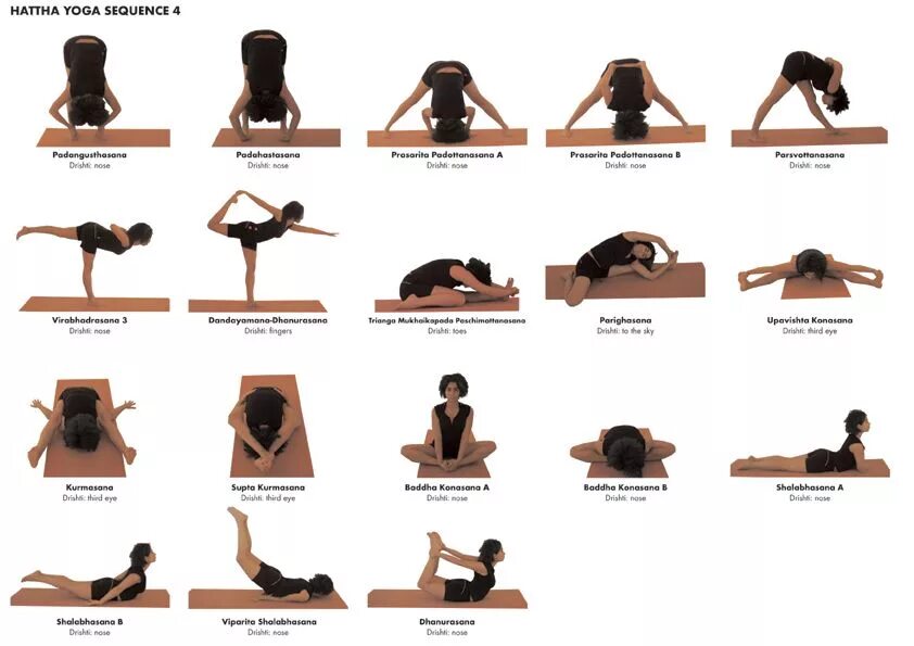Позы и их названия. Сурья намаскар комплекс упражнений для начинающих. Йога комплекс упражнений для начинающих. Хатха йога упражнения. Основные асаны йоги для начинающих в картинках.