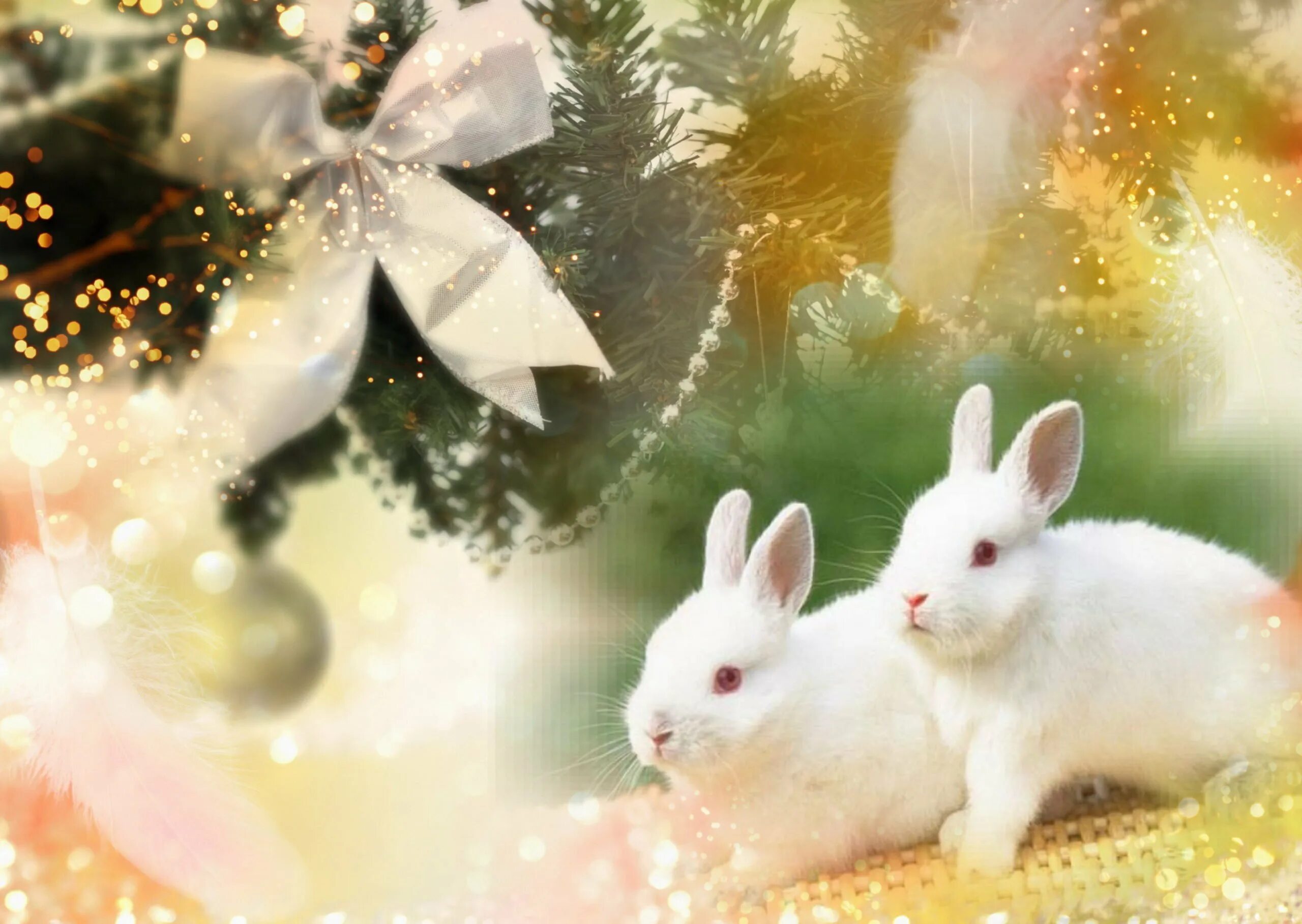 Новый год 2023 красивые. Новогодний кролик. Новогодний заяц. Кролик новый год. Новогодние обои с кроликами.