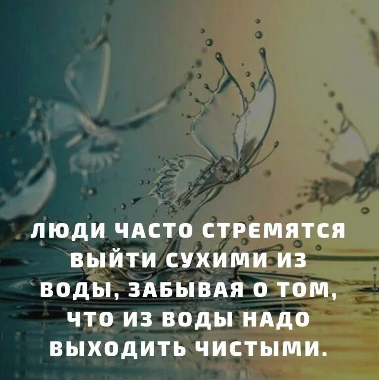 Выйти сухим из воды это. Люди часто стремятся выйти из воды. Люди часто стремятся выйти сухими из воды забывая. Люди часто стремятся. Люди часто выходят из воды сухими.